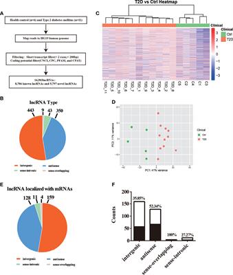 Profile Screening of Differentially Expressed lncRNAs of Circulating Leukocytes in Type 2 Diabetes Patients and Differences From Type 1 Diabetes